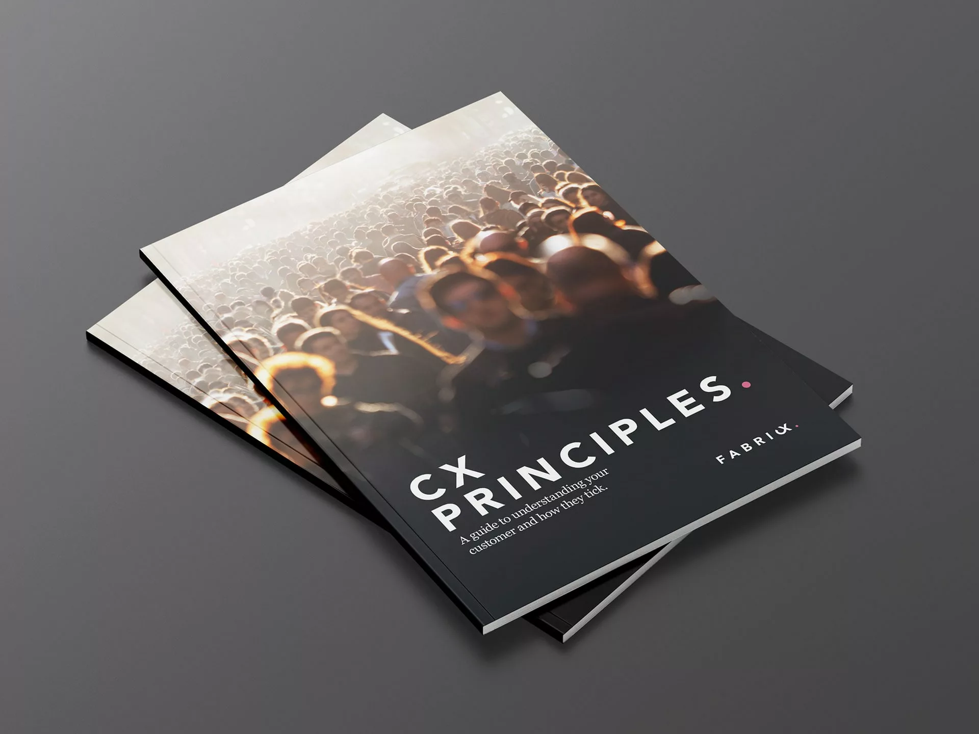 whitepaper cover cx principles